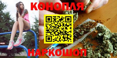 мяу мяу мука Гай