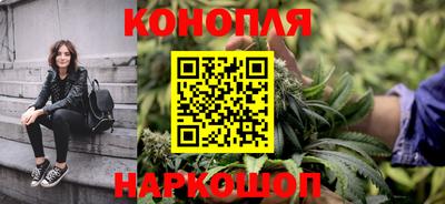 a pvp Гатчина