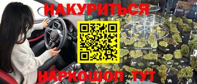 a pvp Гатчина