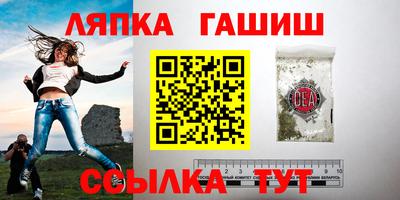 мяу мяу мука Гай