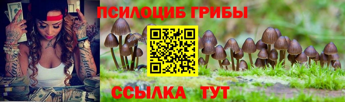 Галлюциногенные грибы Psilocybe  Вход с VPN  Лангепас 